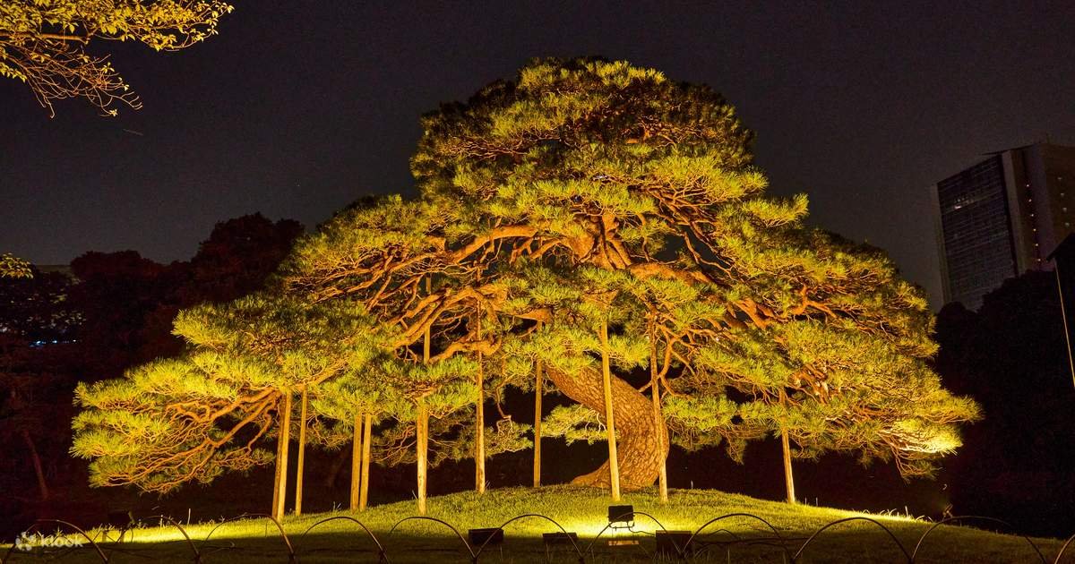 🏞️ 고이시카와 고라쿠엔 이미지 9